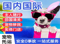 上饶空运国际宠物托运 【国